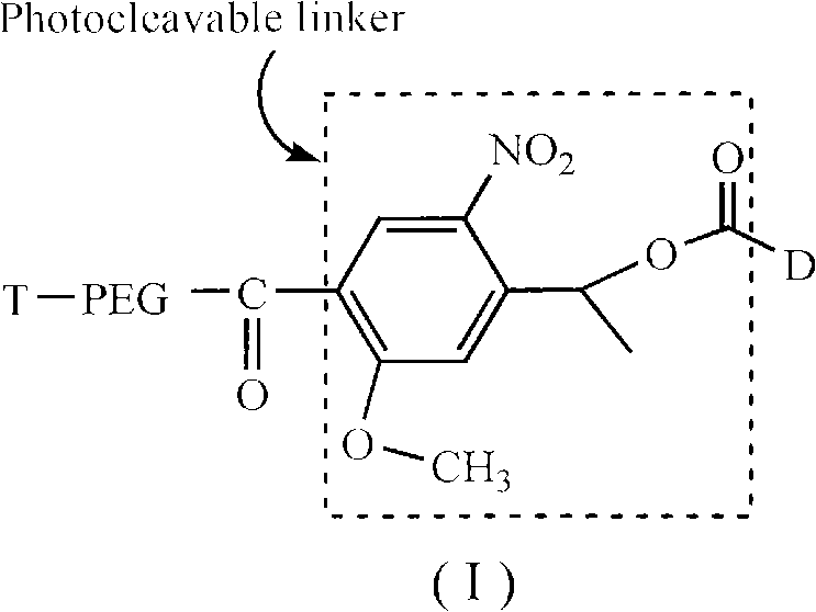 Long-circulating target photosensitive antitumor medicine conjugate and preparation method thereof