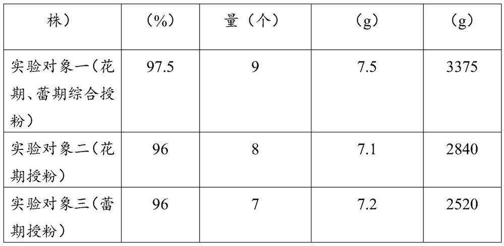 A kind of pollination method to improve the yield of spring Amomum