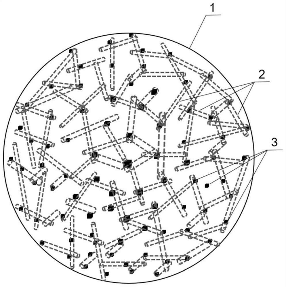 A preparation method of high-magnification conductive polypropylene foam beads