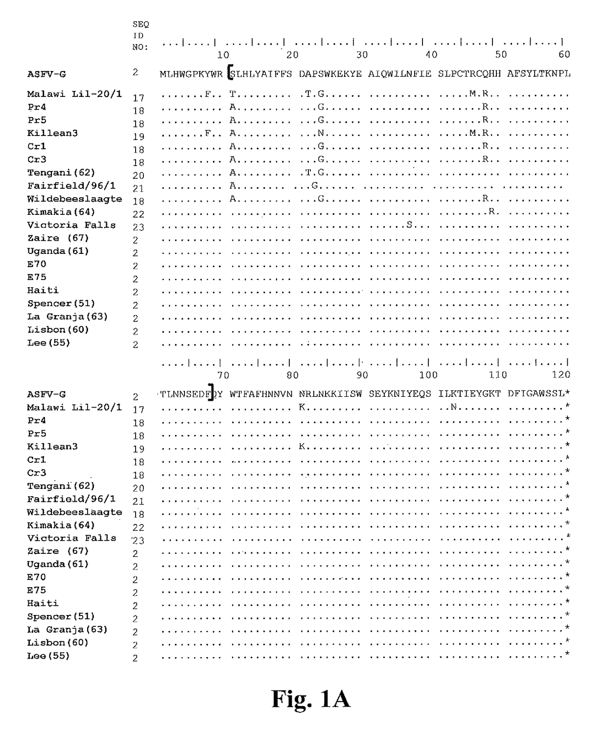 Rationally developed african swine fever attenuated virus strain protects against challenge with parental virus georgia 2007 isolate