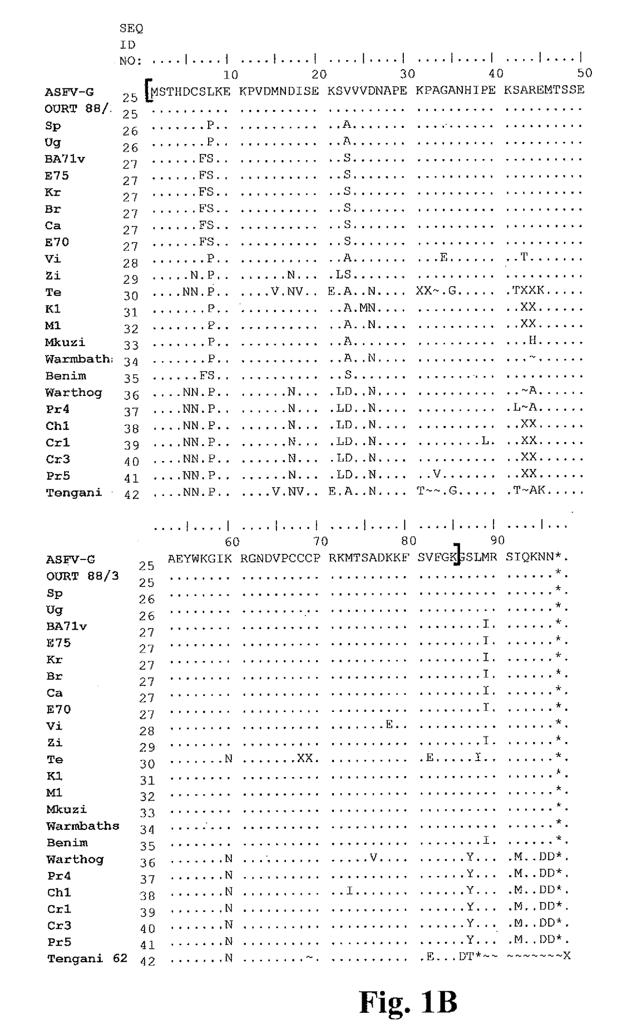 Rationally developed african swine fever attenuated virus strain protects against challenge with parental virus georgia 2007 isolate