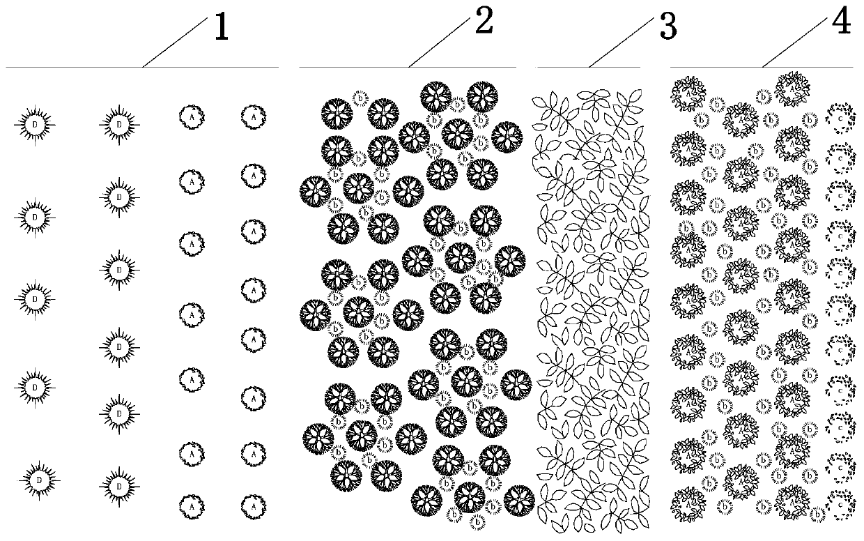 Ecological protective forest belt structure on periphery of urban agglomeration