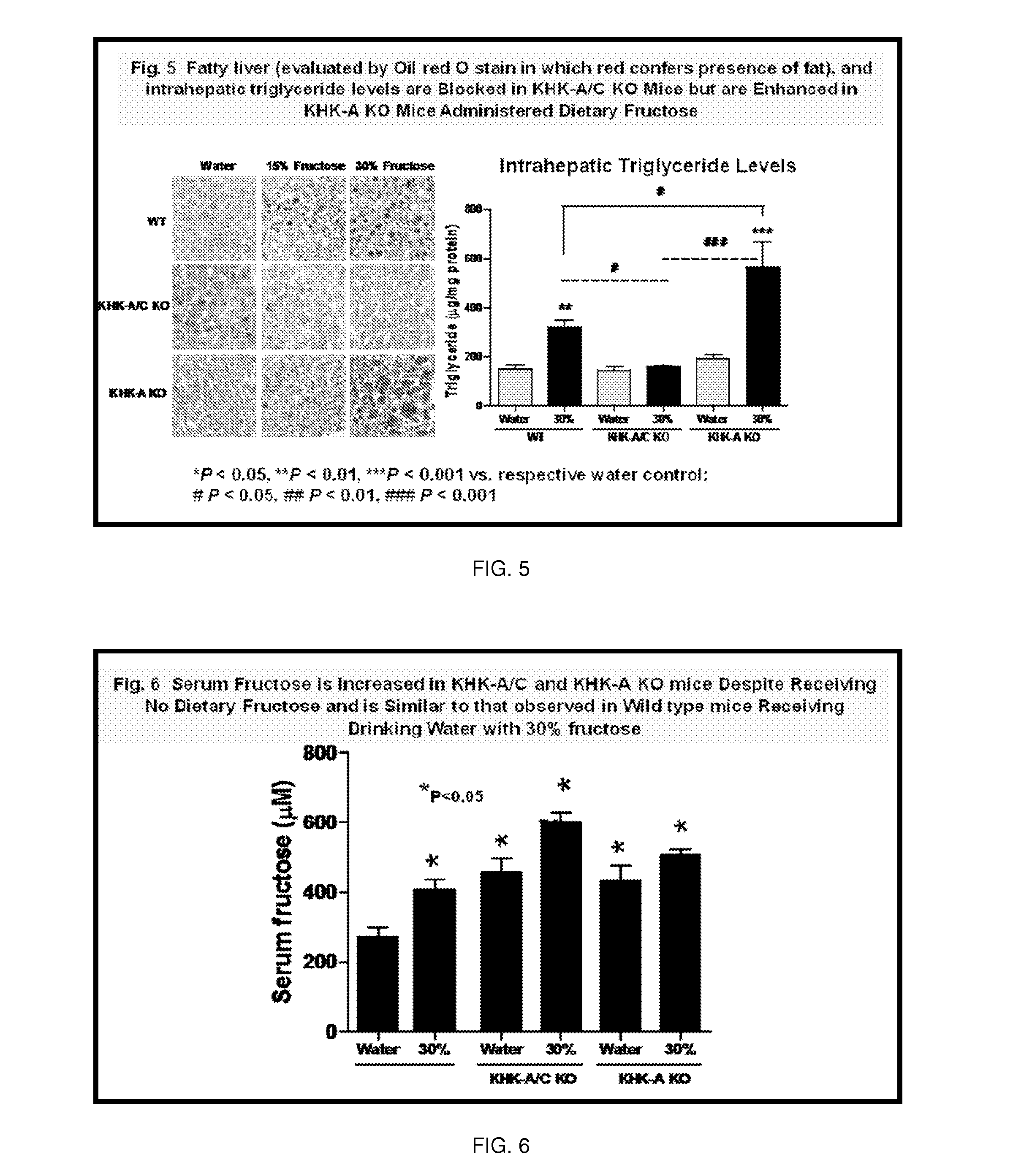 Methods and Compositions for the Inhibition of Fructokinase