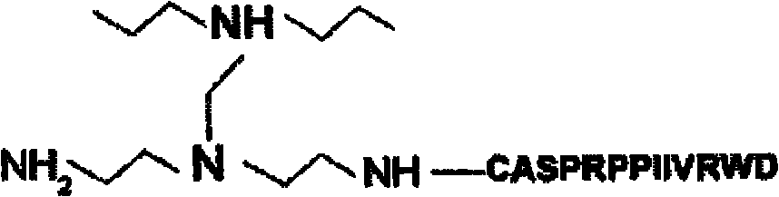 New cartilaginous affinity polypeptide sequence, screening method and application thereof