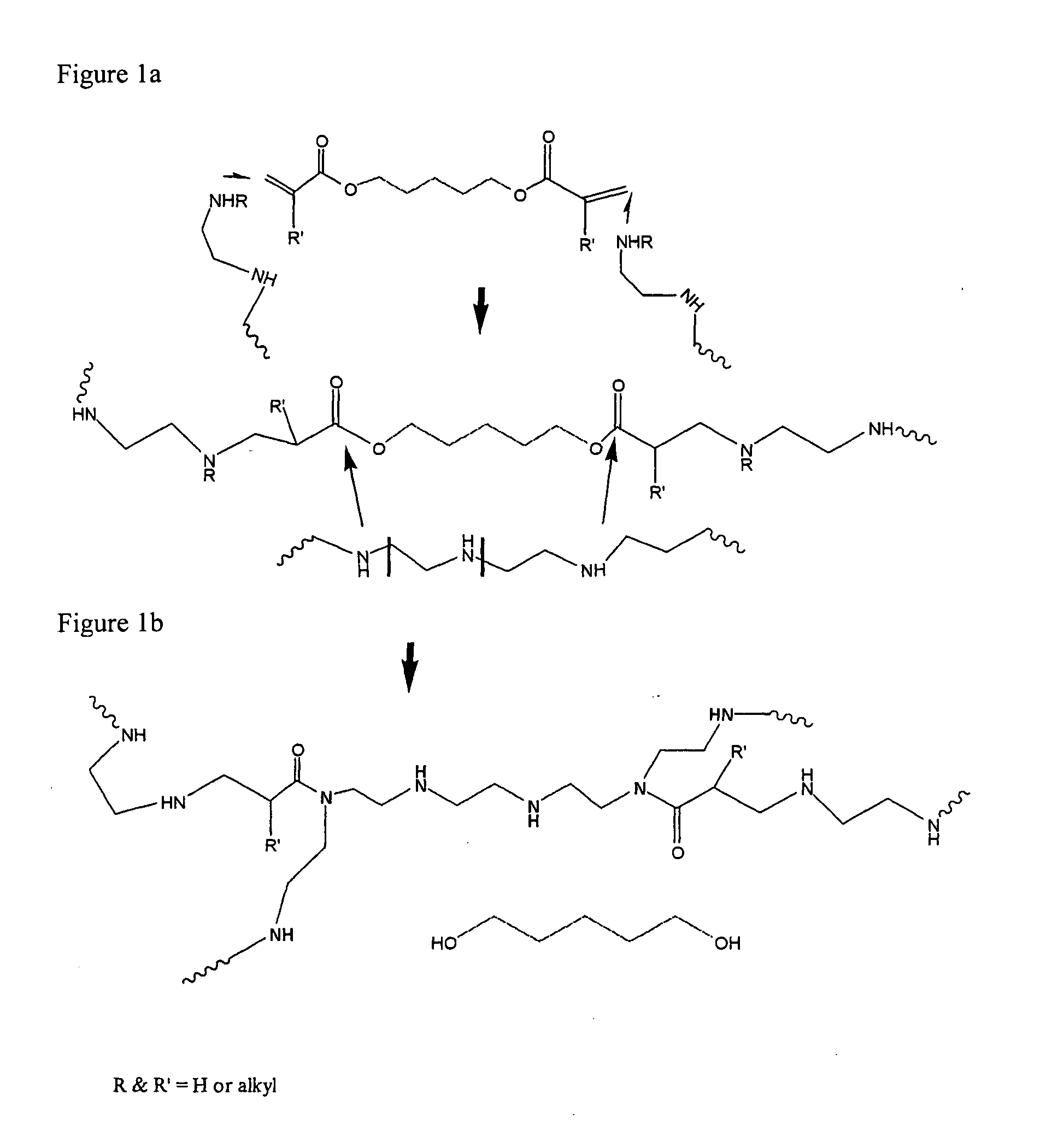 CHEMICALLY MODIFIED POLYCATION POLYMER FOR siRNA DELIVERY