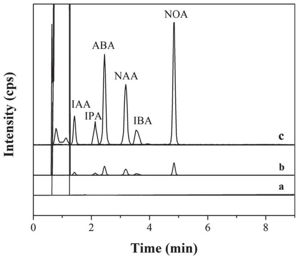 Magnetic solid-phase extraction agent, preparation method and application thereof