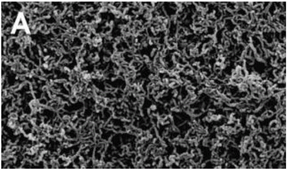 Super-hydrophobic material and preparation method thereof