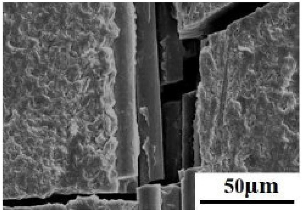 Preparation method of carbon nanotube/nitrogen-doped modified fiber body composite material