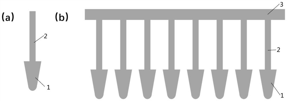 Extraction method of microsporidium DNA based on 3D printing functive, reagent kit and application of extraction method