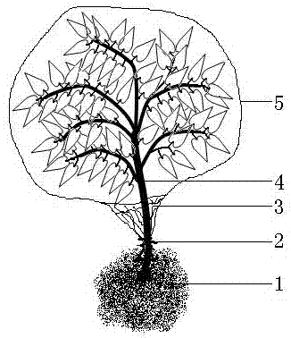 Citrus tree overwintering heat insulation membrane