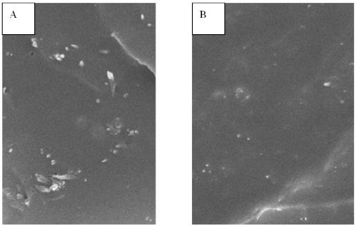 Environment-friendly toughening nano-cellulose-polylactic acid biodegradable material and preparation method thereof