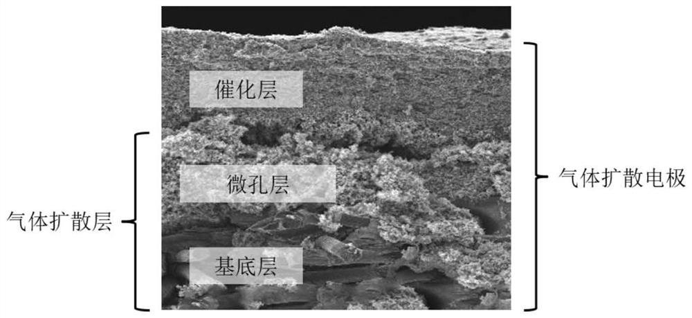 Gas diffusion layer for electrochemical reduction of carbon dioxide and preparation method of gas diffusion layer