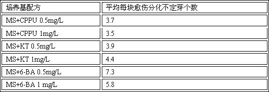 A tissue culture method using Pan's Bingdengyulu inflorescence axis as explant