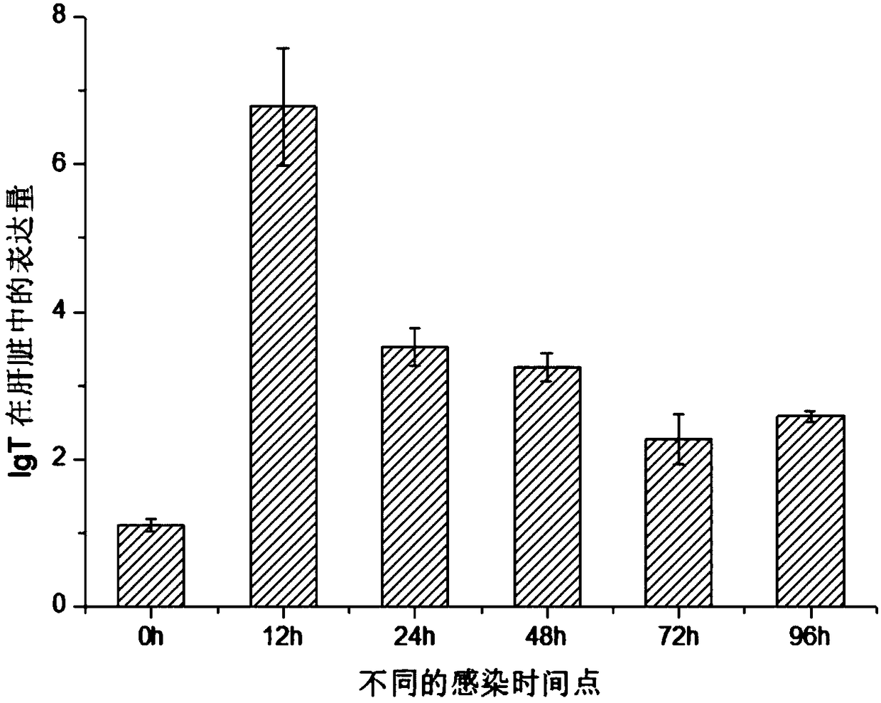 Cynoglossus semilaevis disease-resistant immune related gene and application thereof