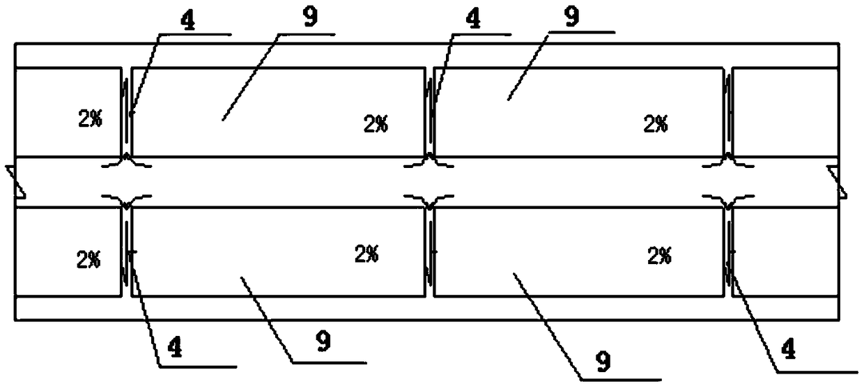 A line-to-line drainage structure of a low-lying structure section of a maglev rail transit