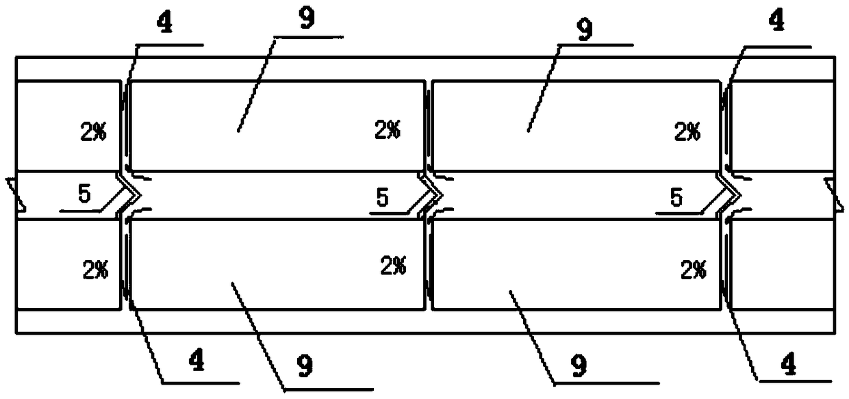 A line-to-line drainage structure of a low-lying structure section of a maglev rail transit