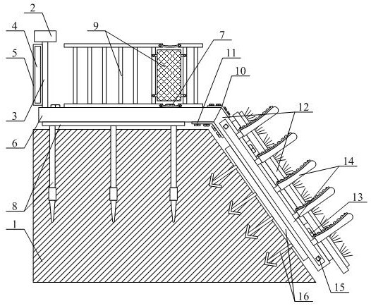 An ecological protective slope based on multiple protective devices for water conservancy projects