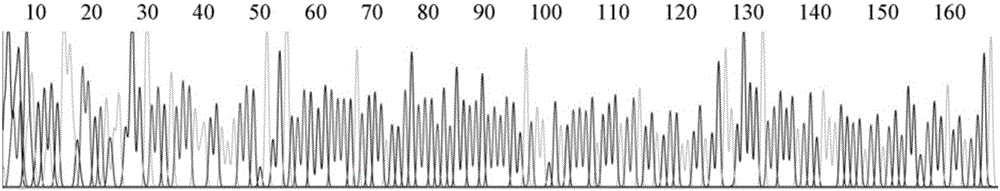 Gastric cancer molecular marker hsa_circ_0006633 and its application