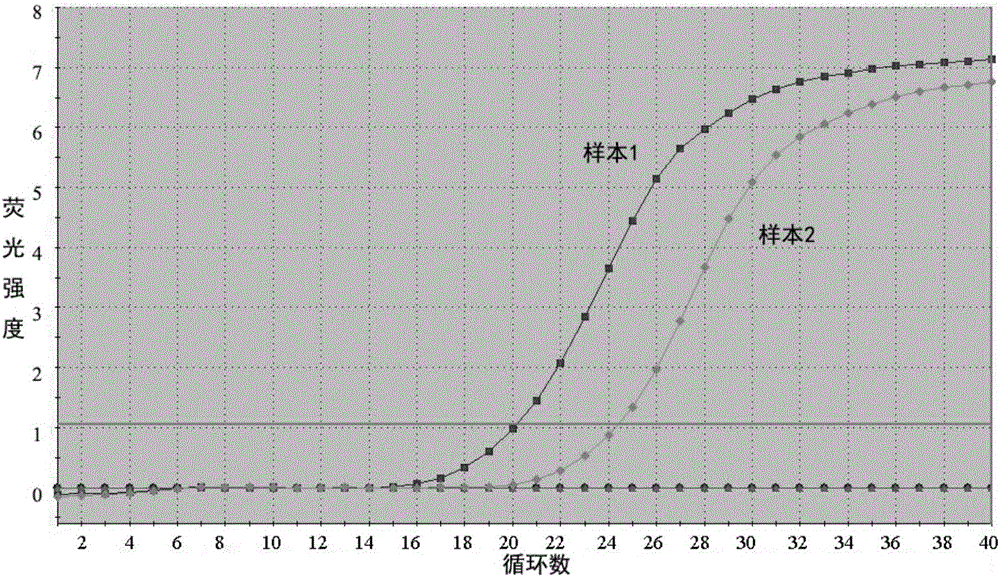 Gastric cancer molecular marker hsa_circ_0006633 and its application