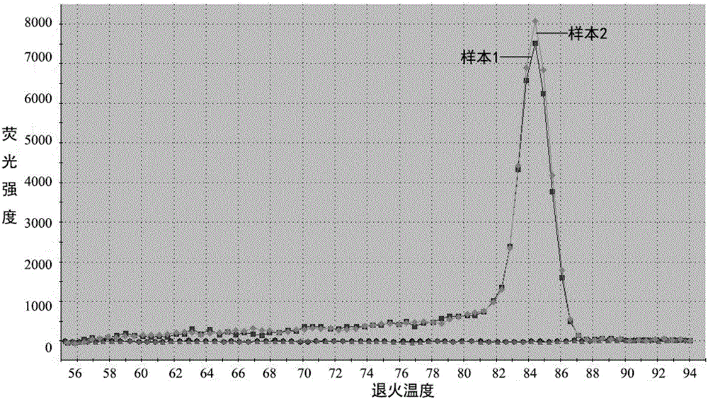 Gastric cancer molecular marker hsa_circ_0006633 and its application