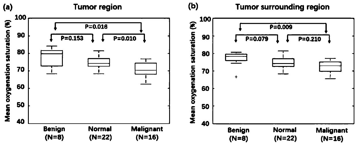 Application of three-dimensional photoacoustic imaging in breast tumor scoring system