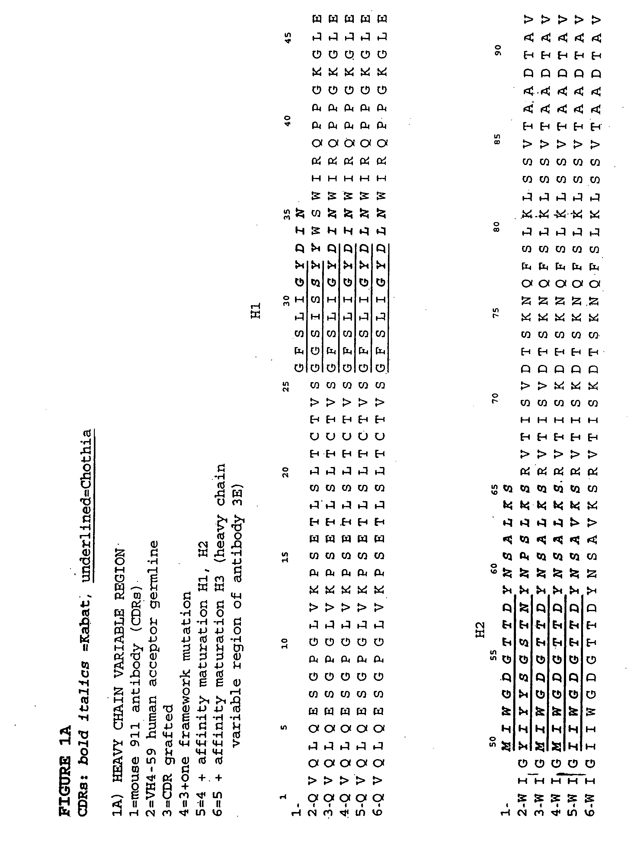 Anti-NGF antibodies and methods using same