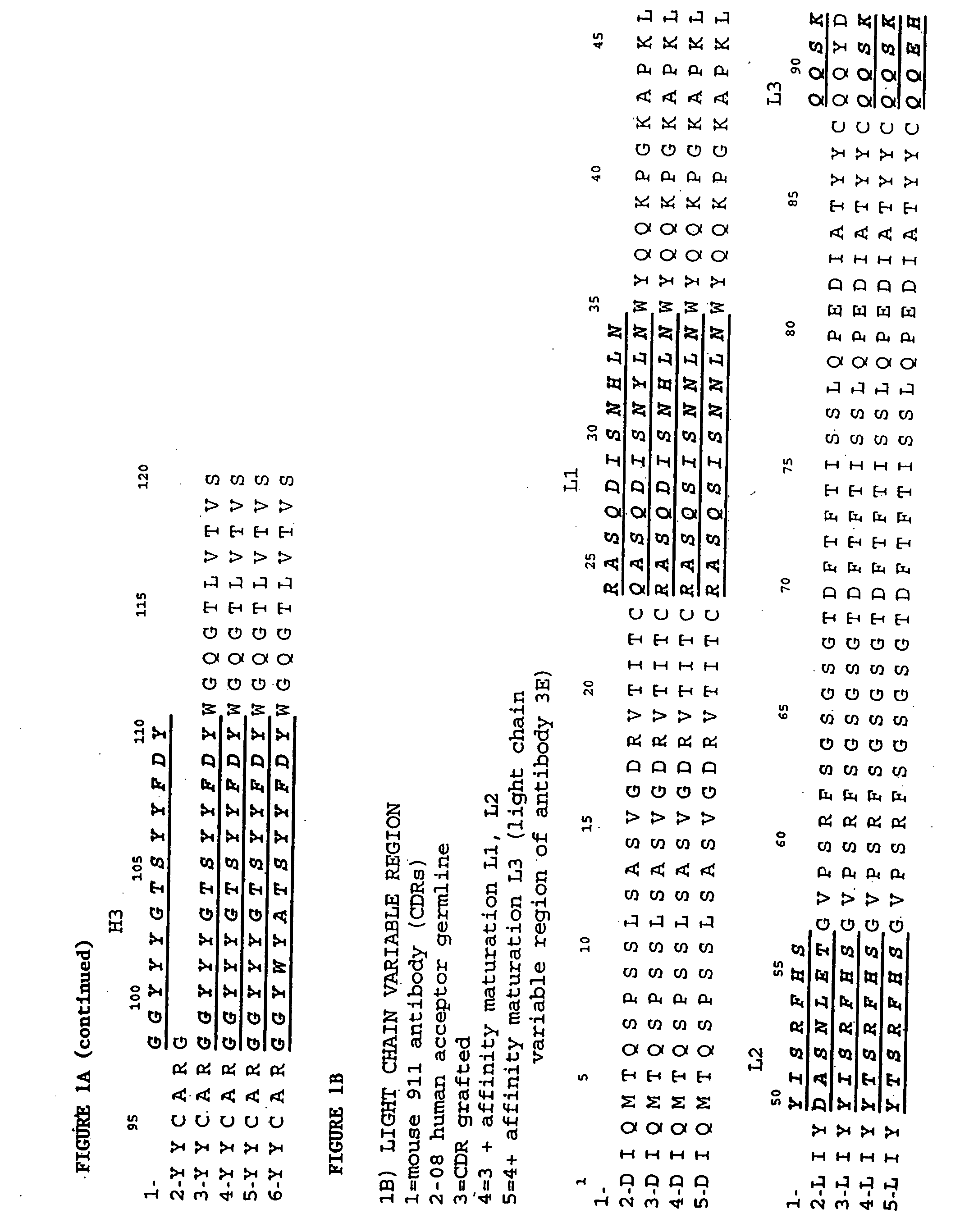 Anti-NGF antibodies and methods using same