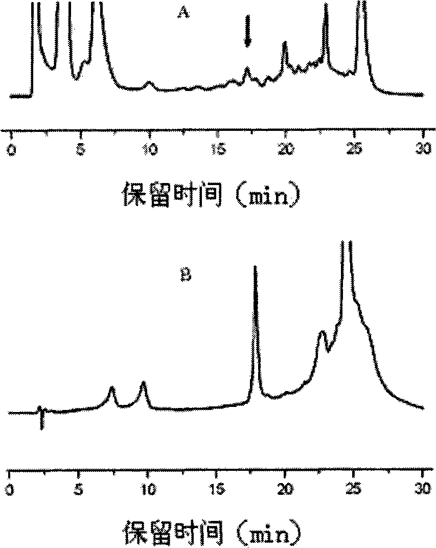 Molecule identification method for taxol-producing endophytic fungi in yew