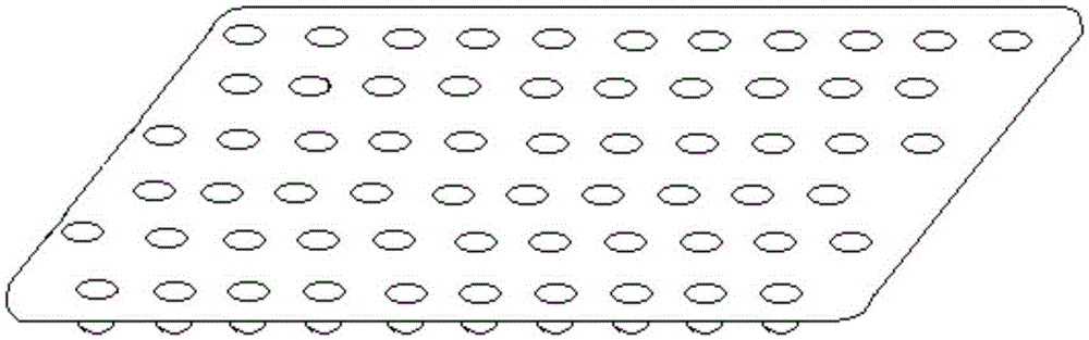 Mechanized dry transplanting method for rice