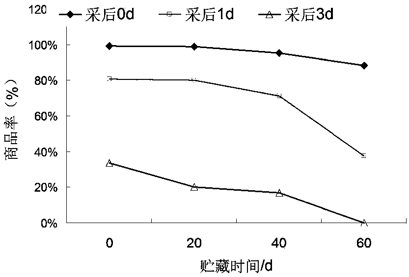 Gradient pre-cooling method suitable for red globe grapes