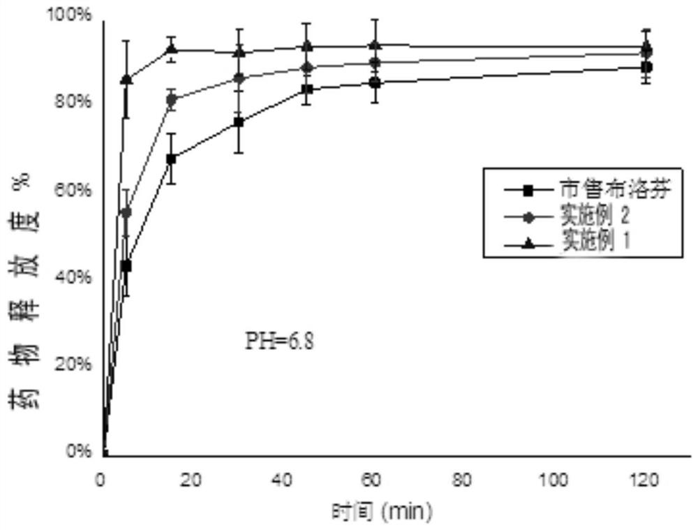 Ibuprofen nanoparticle with low renal toxicity and preparation method thereof