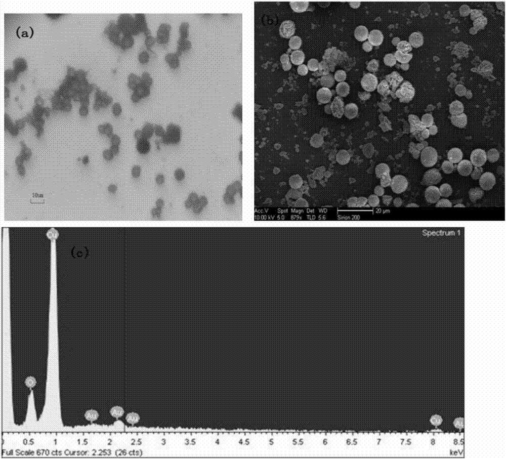 A kind of flaky self-assembled basic copper carbonate curd and its simple preparation method