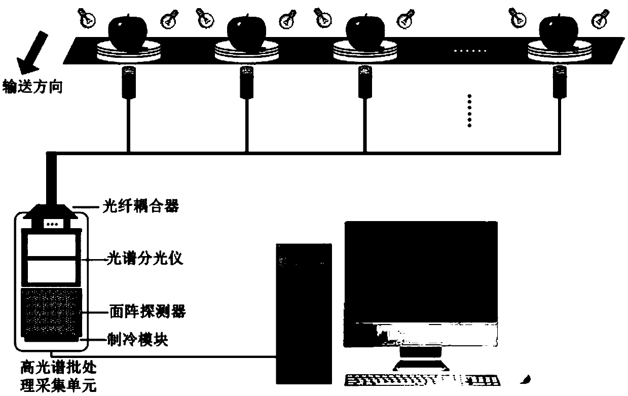 A hyperspectral batch non-destructive testing method and system for the quality of agricultural and livestock products