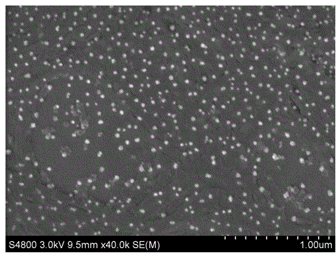 Method for preparing triiron tetraoxide nanometer particles