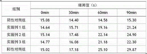 Analgesic traditional Chinese medicine composition and preparation method thereof