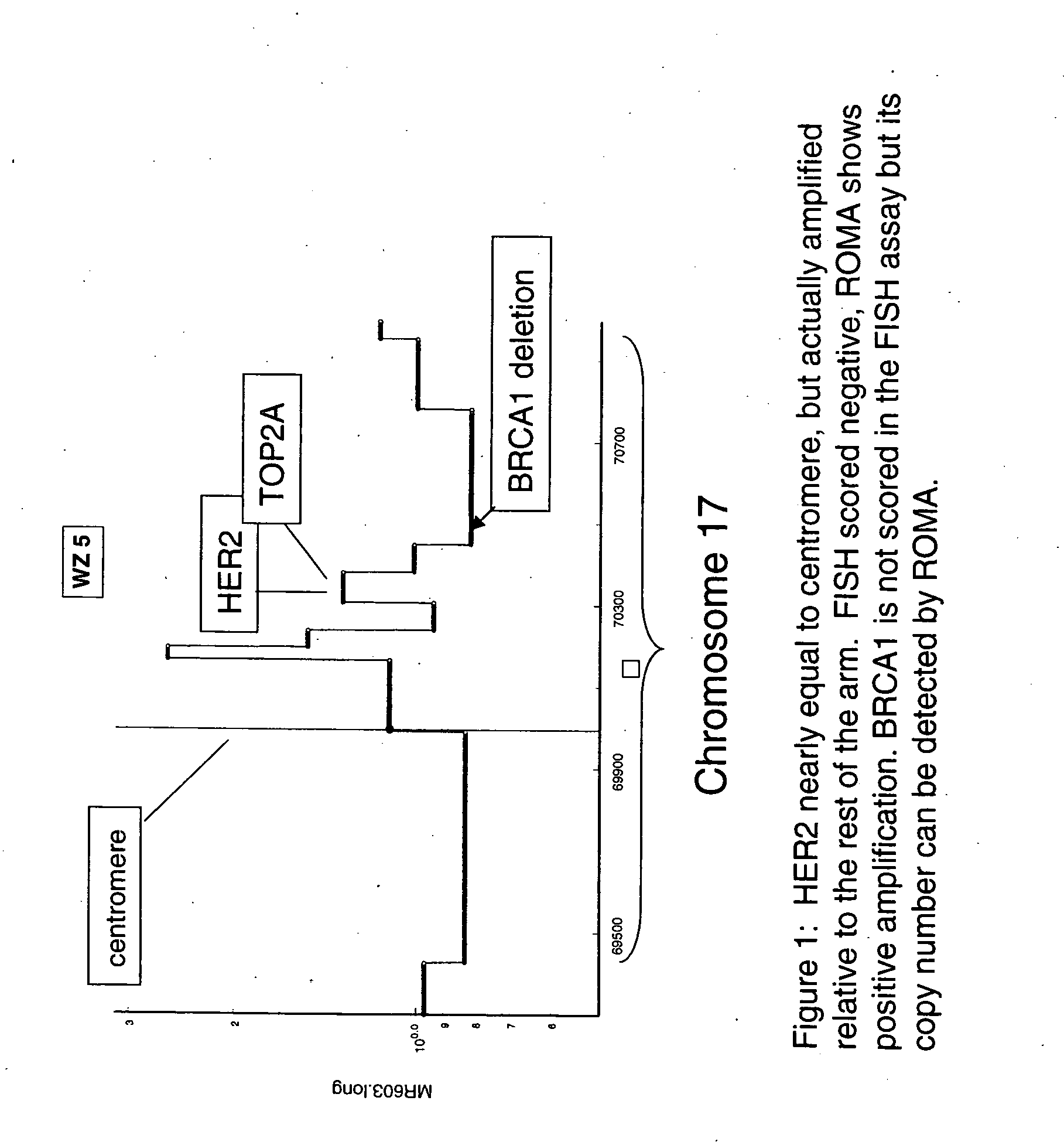 Use of roma for characterizing genomic rearrangements