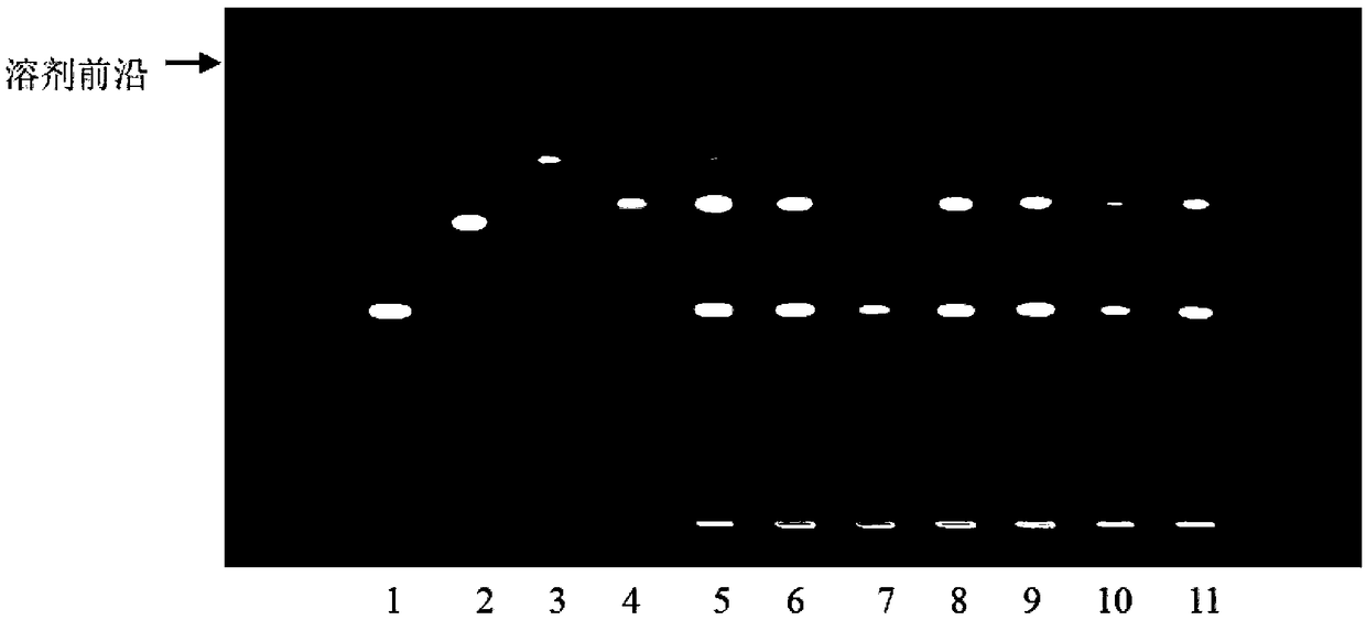 Rhizoma corydalis reference extract and preparation method and application thereof