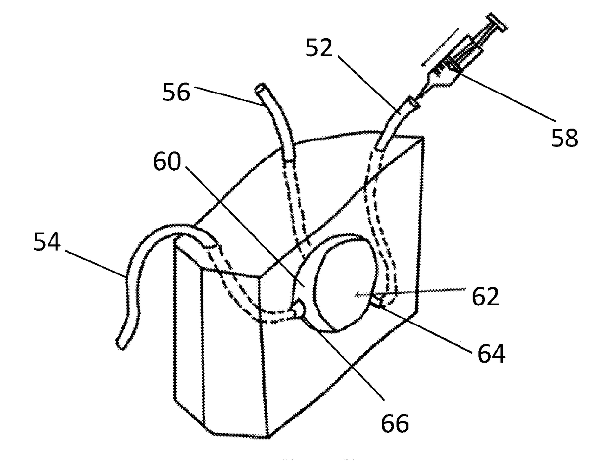 Bio-model comprising a fluid system and method of manufacturing a bio-model comprising a fluid system