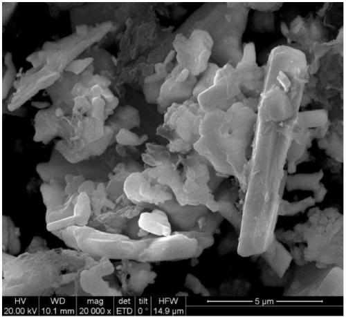 Preparation method of high-activity MoS2/g-C3N4/Bi24O31Cl10 composite photocatalyst