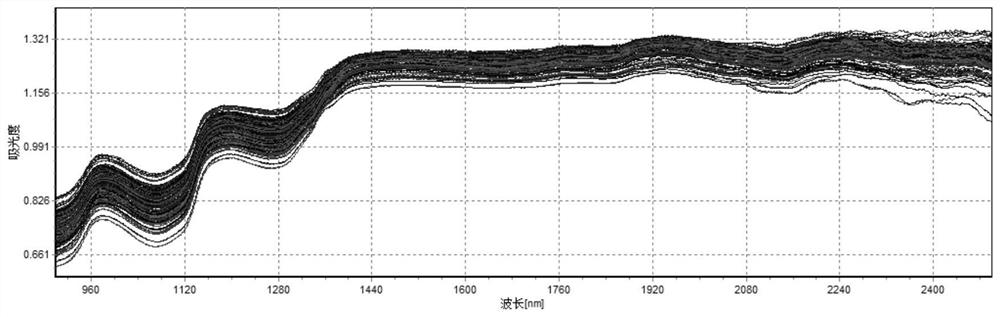 Chicken variety rapid identification method and application thereof