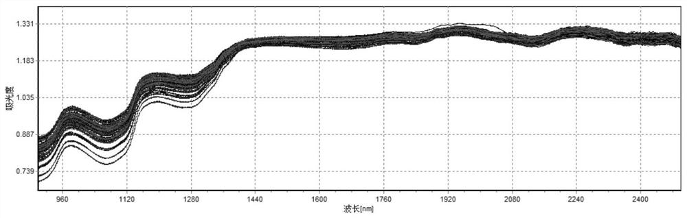 Chicken variety rapid identification method and application thereof