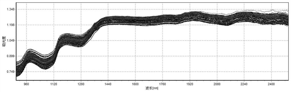 Chicken variety rapid identification method and application thereof