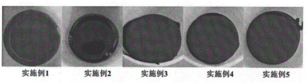 Method for preparing natural-flavor caramel by using red date processing wastes