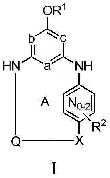 Macrocyclic compounds as HCV entry inhibitors