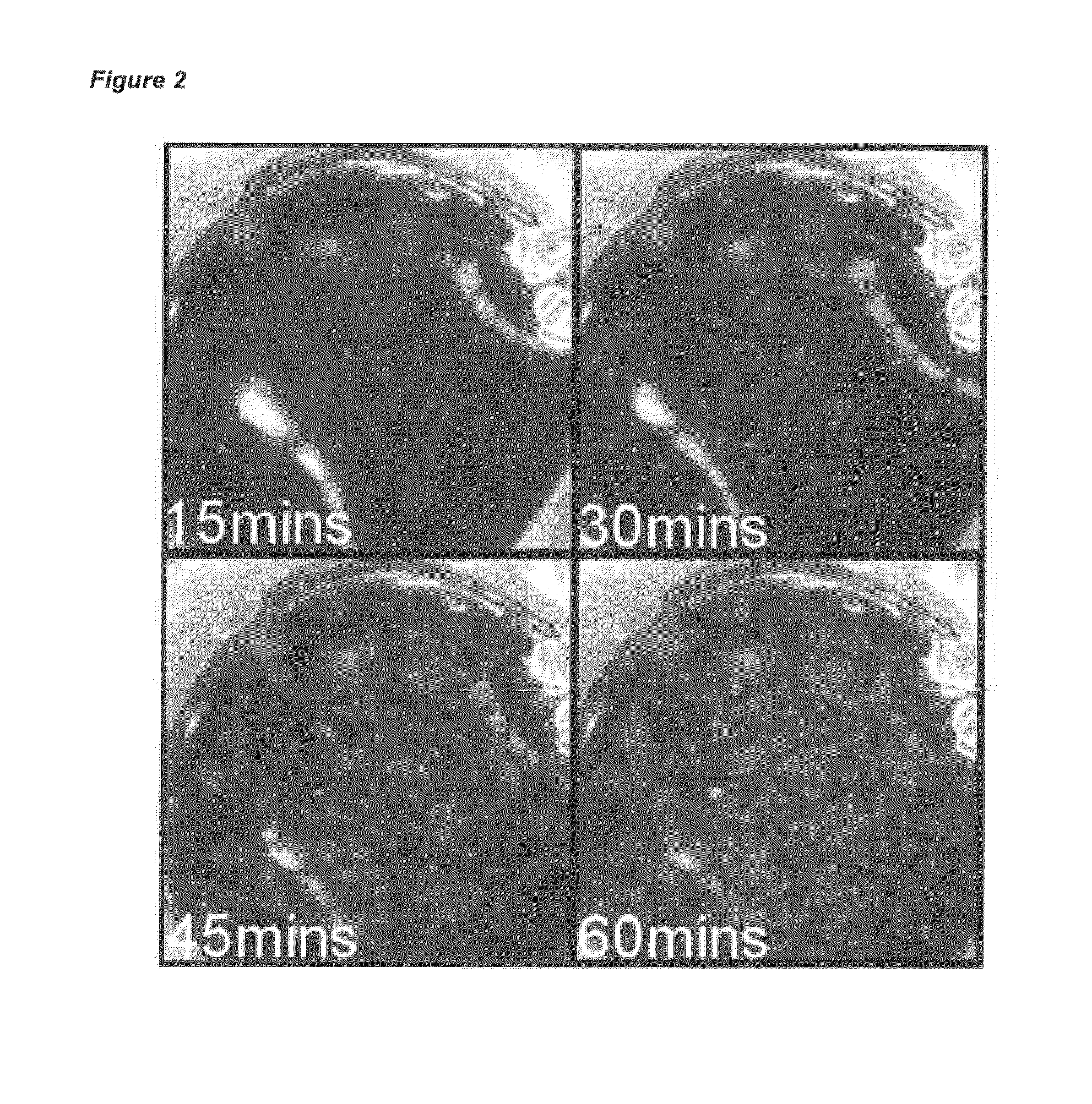 Apparatus and methods for the preparation of reaction vessels