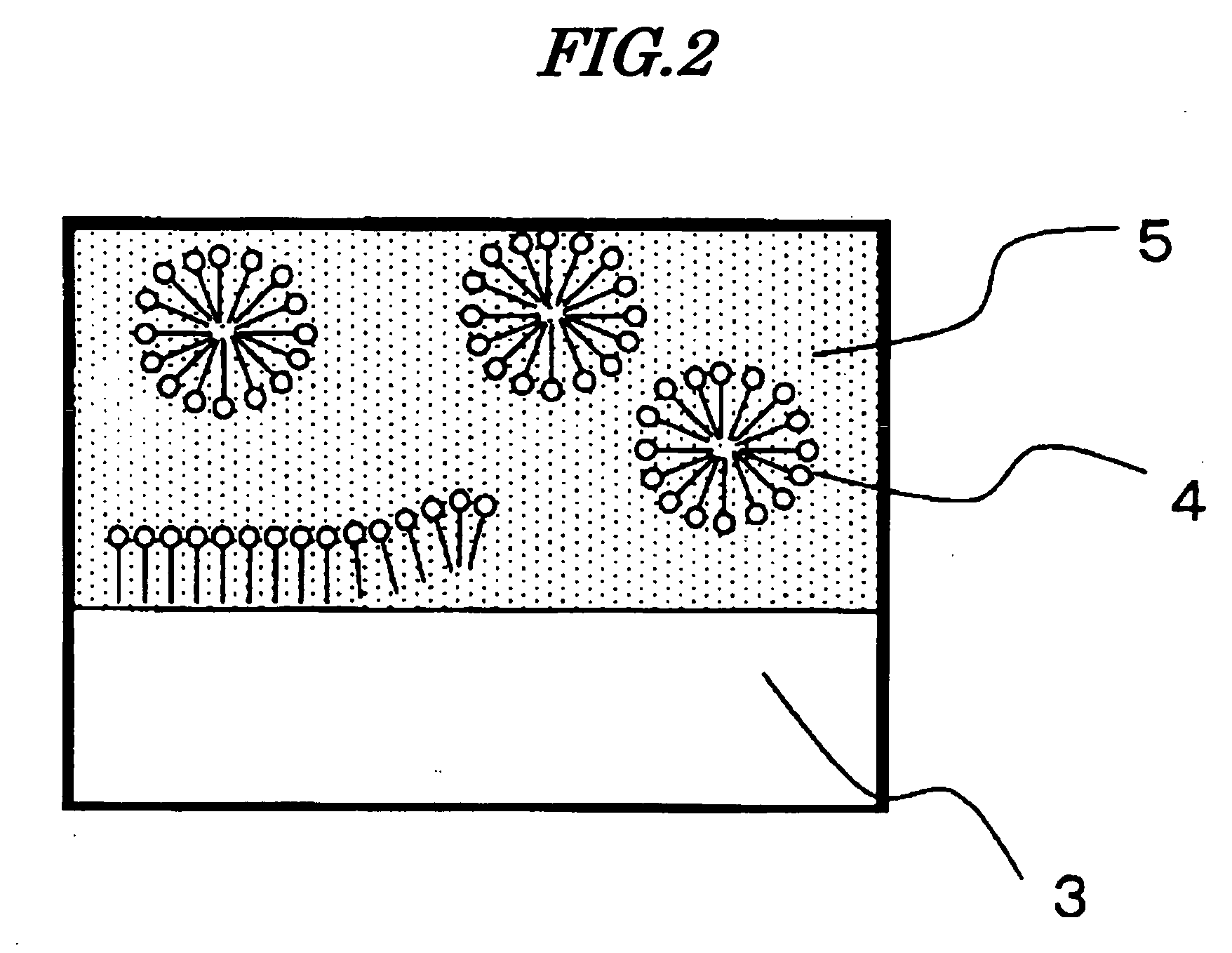 Method for Producing Functional Membrane