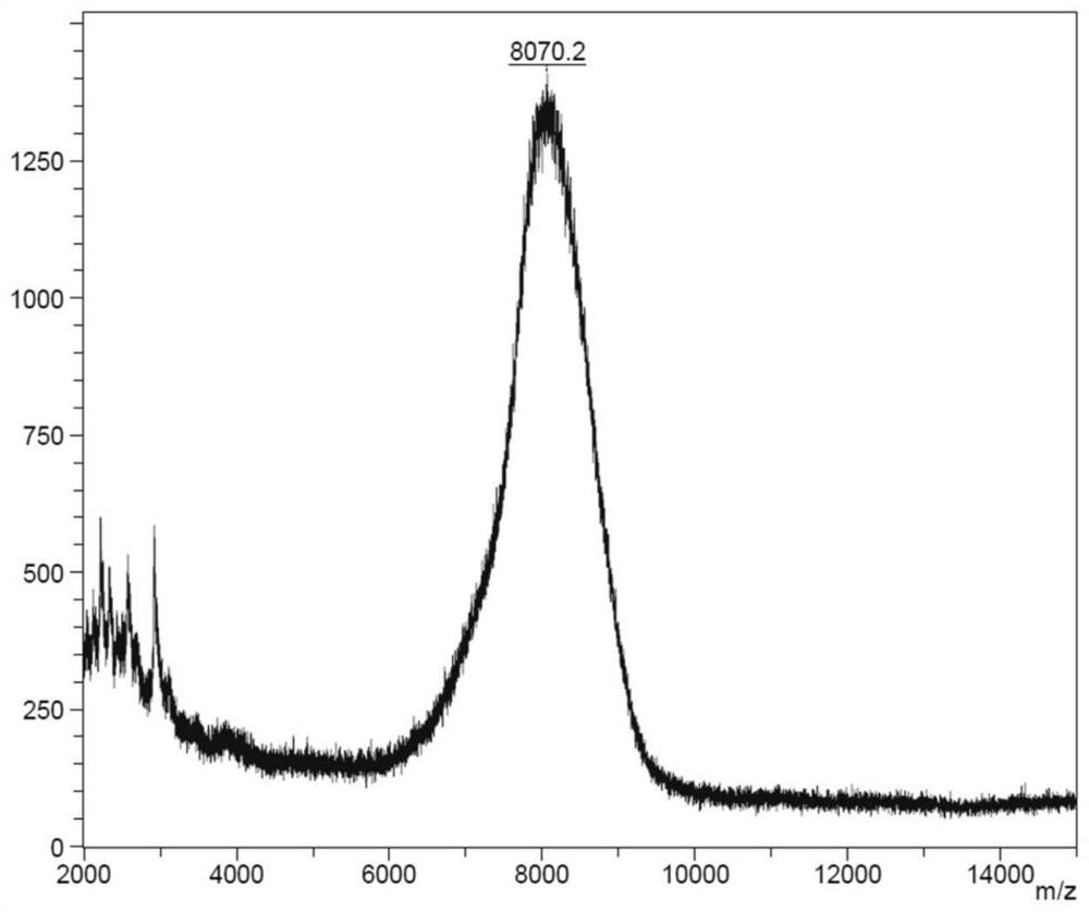 A kind of Thymofaxin polyethylene glycol polymer, its pharmaceutical composition and application