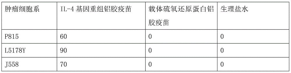 Therapeutic interleukin-4 vaccine capable of treating human or animal chronic tuberculosis