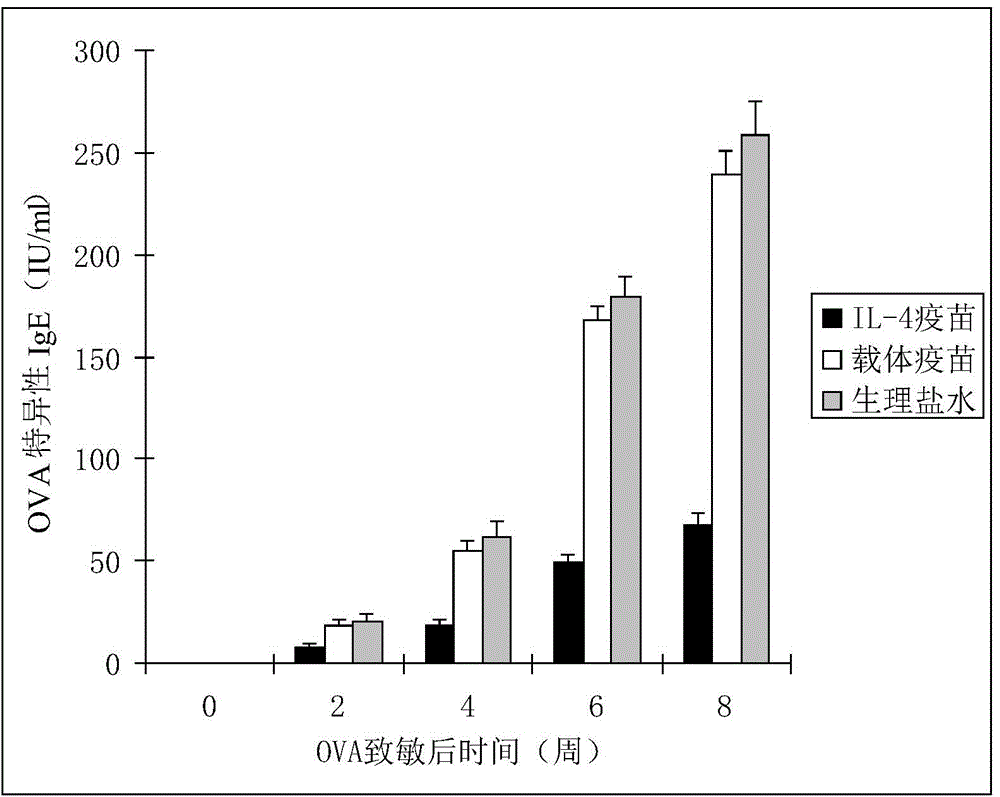 Therapeutic interleukin-4 vaccine capable of treating human or animal chronic tuberculosis