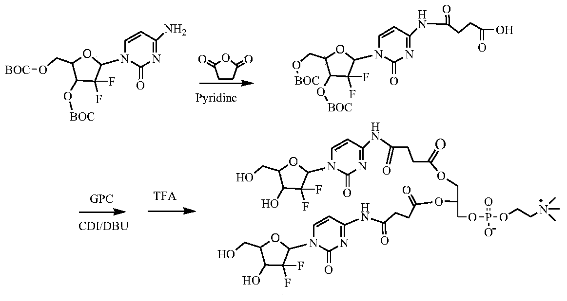 A kind of phospholipid compound of hydrophilic drug, its pharmaceutical composition and application